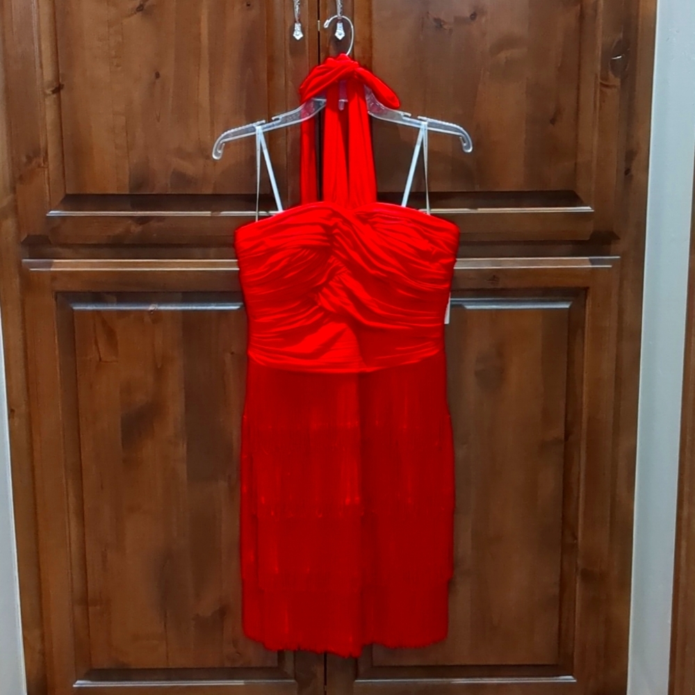 Bouncy, red fringe dress